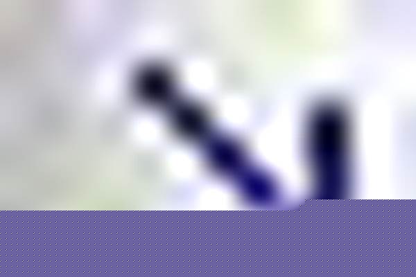 3087無縫鋼管/a_3087無縫鋼管多少錢一噸