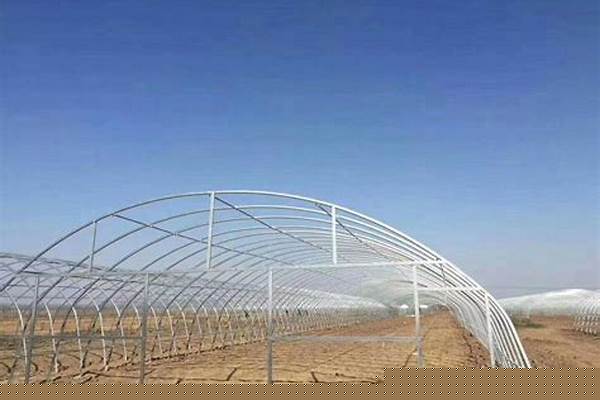 菜棚鋼管價(jià)格/a_大菜棚鋼管多少錢一個(gè)