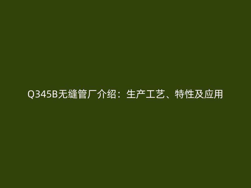 Q345B無縫管廠介紹：生產工藝、特性及應用